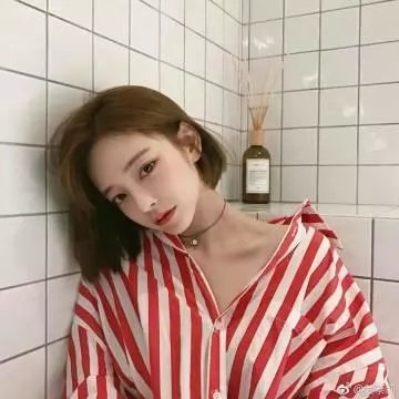 金雉鸡